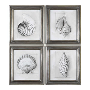 Uttermost Shell Schematic Aquatic Prints (Set of 4)